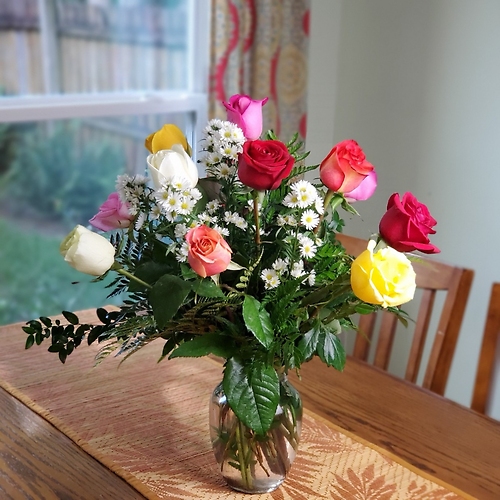 12 Medium Stem Roses Summer Special