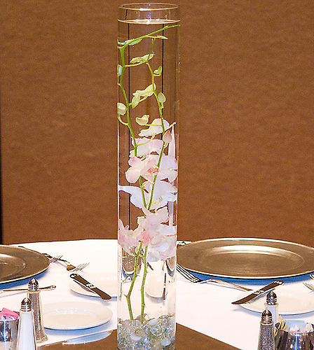 Dendrobiums in a Cylinder
